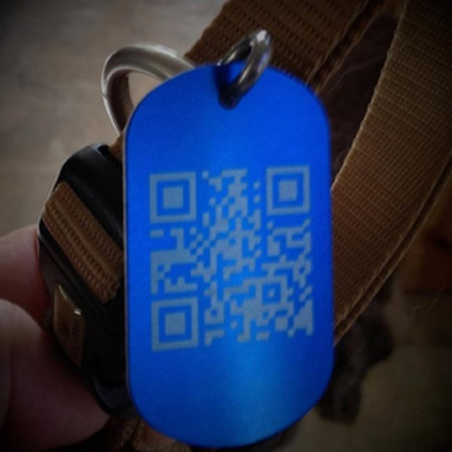 Blue Checkered Pet Id Scanner