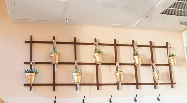 Living Walls Through Wooden Vines