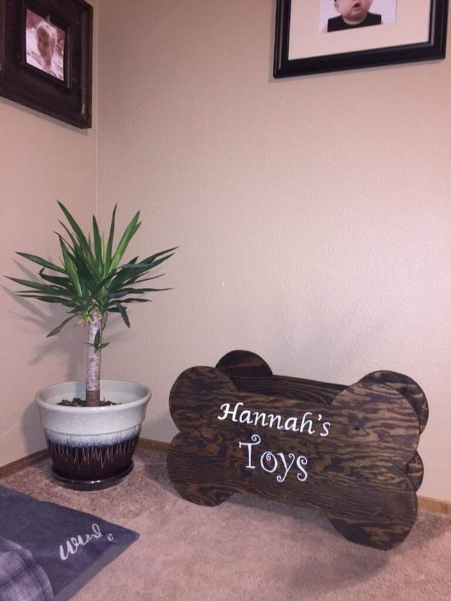 Personalized Pet Toy Storage Box