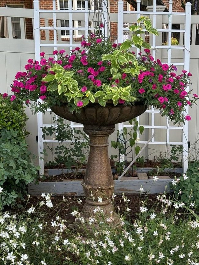 Pink Stone Planter Abundance