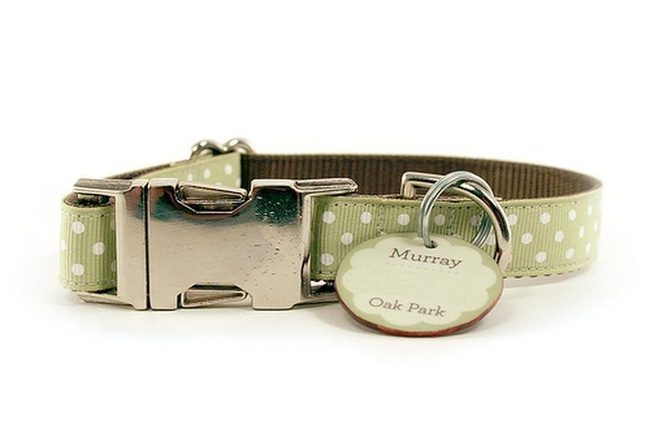 Light Green Polka Dot Pet Collar