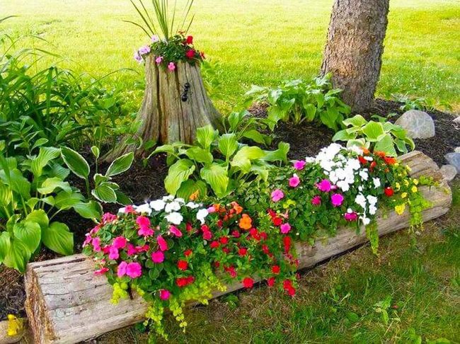 Hollowed Stump Blooming Centerpiece