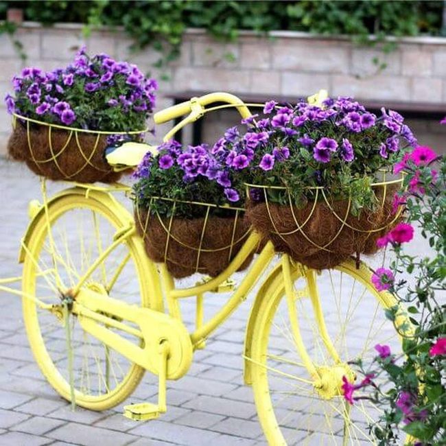 Yellow Bike Purple Flower Garden