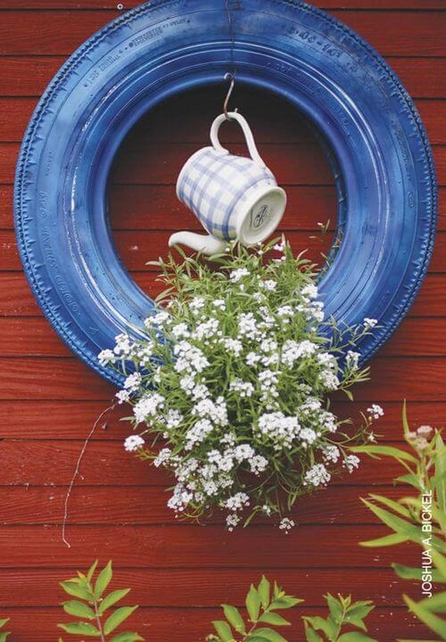 Deep Blue Tire, White Flowers Blooming