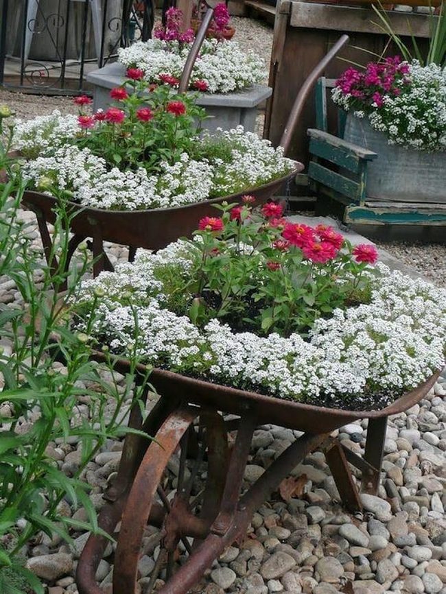 Rusty Metal Blooms Garden