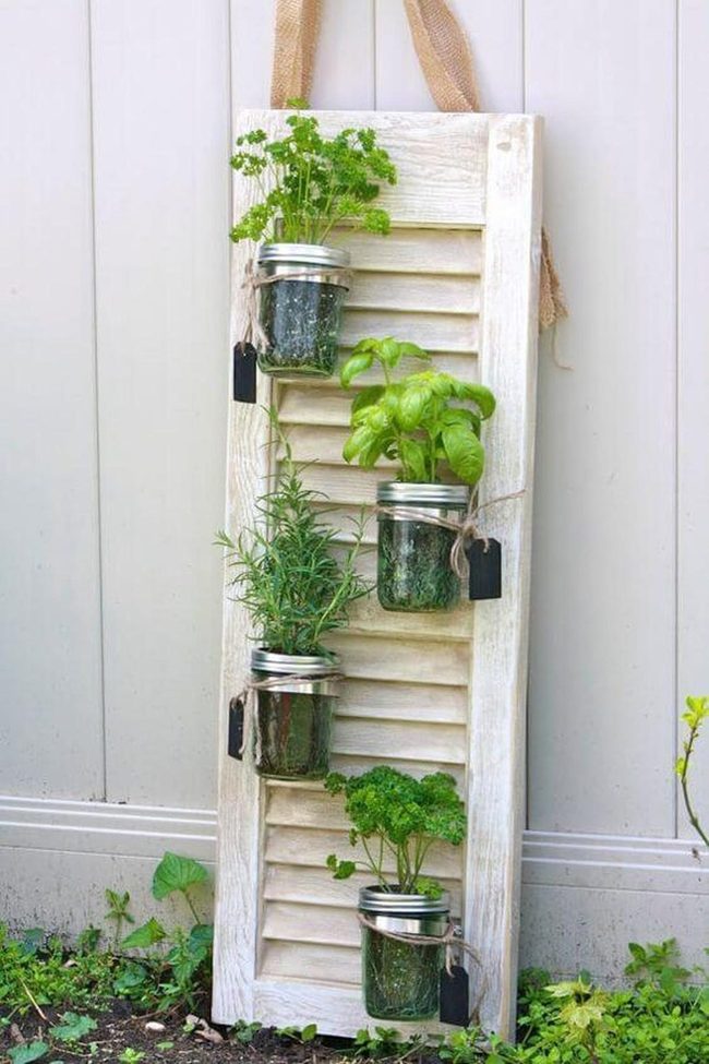 Green Herbs In Glass Jars