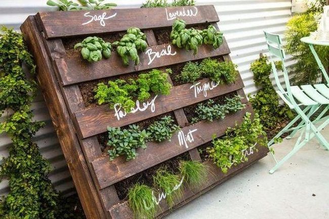 Vertical Wood Pallet Herb Garden