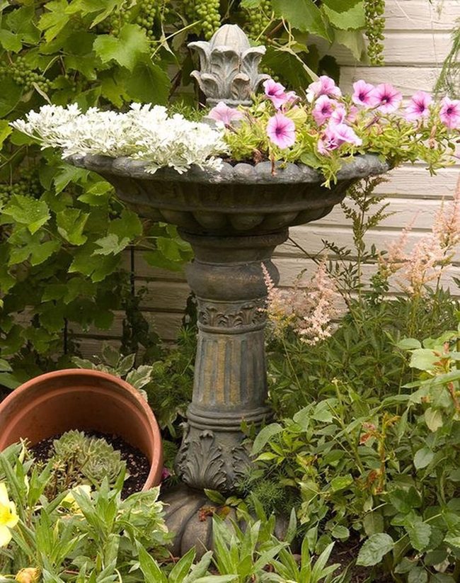 Weathered Birdbath Pink Blooms Garden