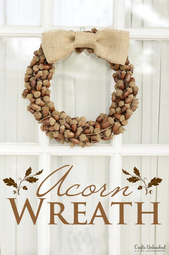 Acorn Texture Autumn Door