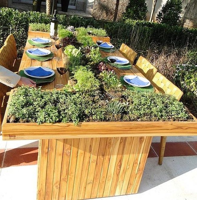 Garden Table With Living Herbs