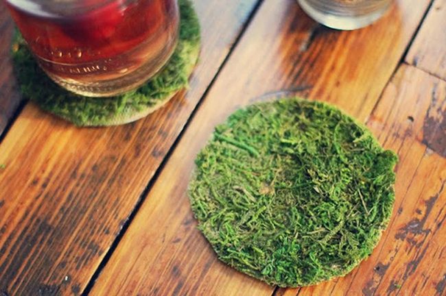 Green Moss Stone Coasters