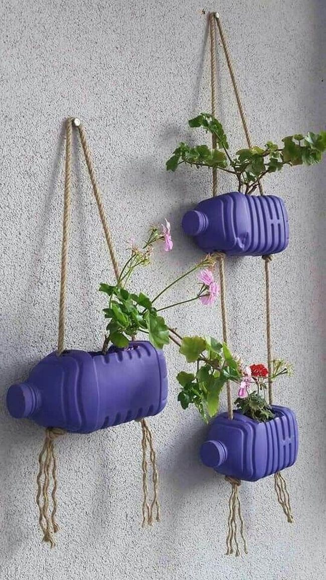 Recycled Bottles Living Wall