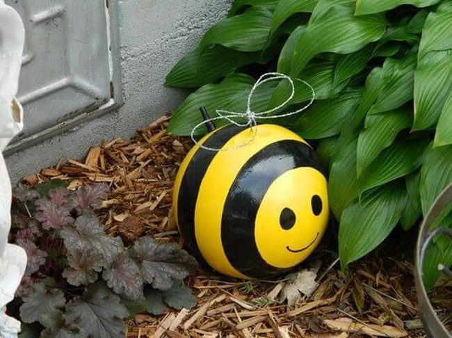 Yellow And Black Striped Bee