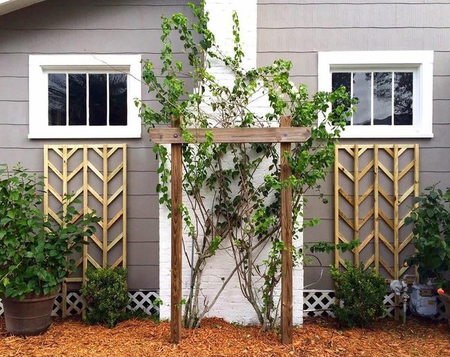 Geometric Lattice Frames Garden