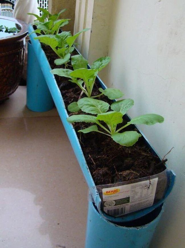 Vivid Blue Pvc Herb Garden