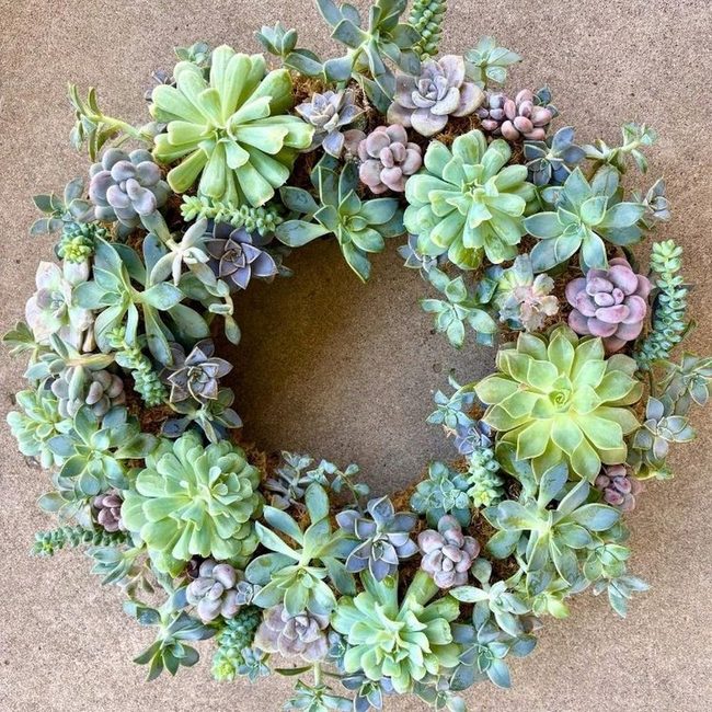Green Succulent Wreath Blue Door