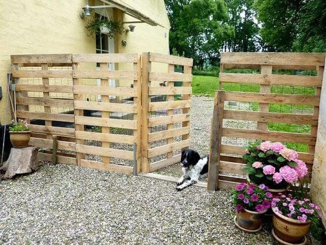 Wooden Fence Blooming Bright