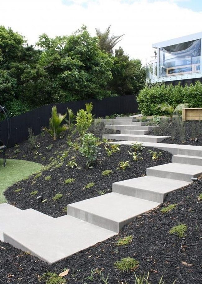 Concrete Stairs Through Tropical Green