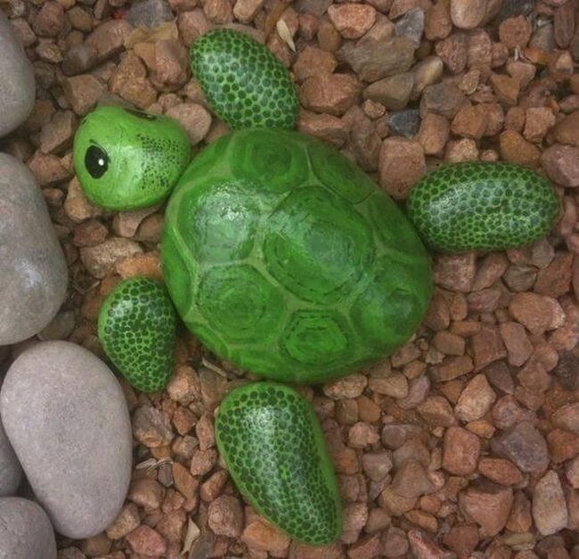 Painted Rock Sea Turtles Garden