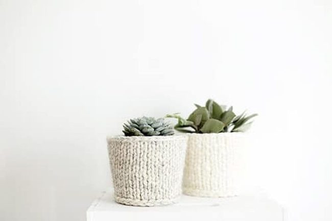 Soft Wool Plant Wraps