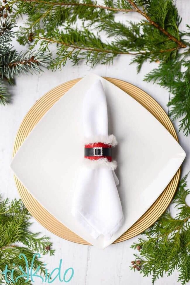 Crimson Velvet Napkin Ring Shimmer