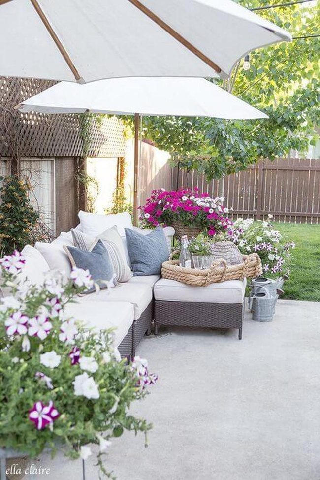 Oversized Cushions Among Blooming Petunias