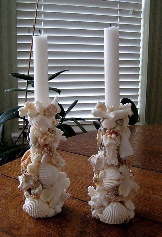 Coastal Shells By Candlelight