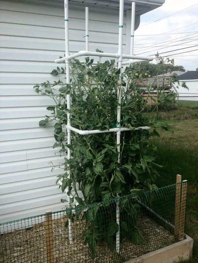 Vertical Pvc Pipe Garden Tower