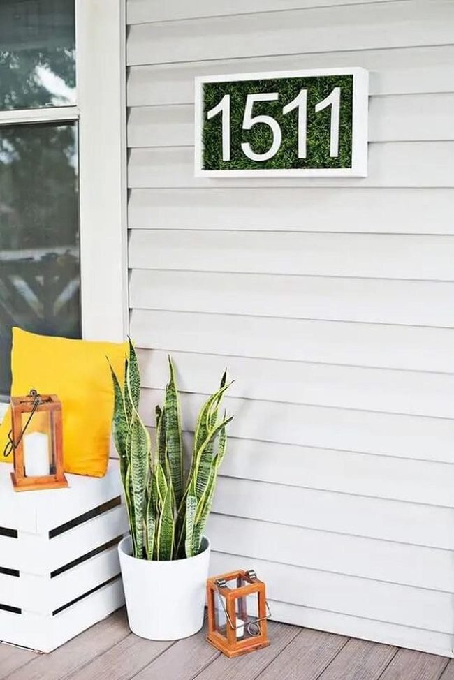 Minimal Plants Meet Colorful Comfort