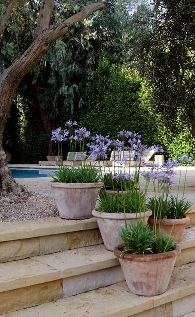 Purple Terracotta Steps Mediterranean Pool