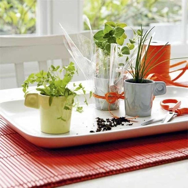 Red Mat Plant Propagation Station