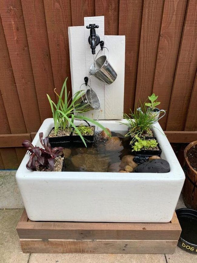 White Tile Pond With Living Plants