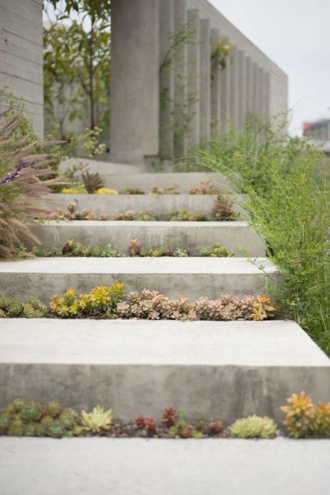 Concrete Stairs Meet Living Succulents