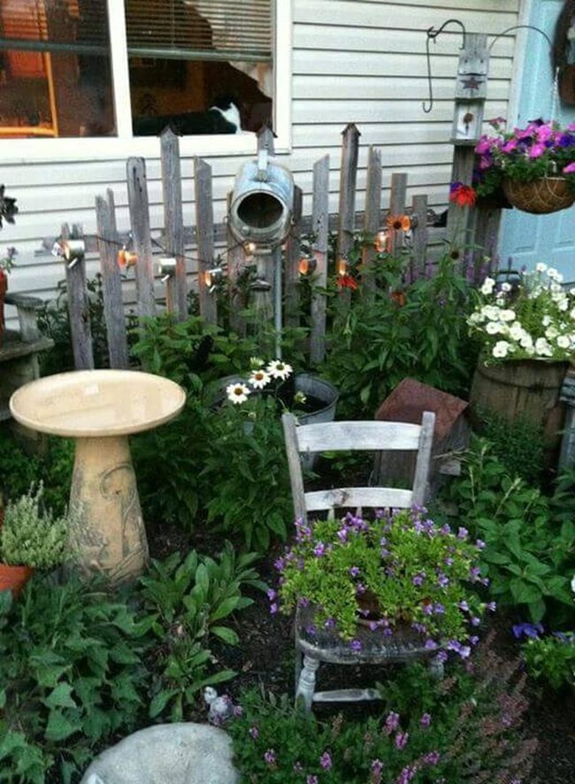 Old Wood, Blooming Flowers, Garden Light