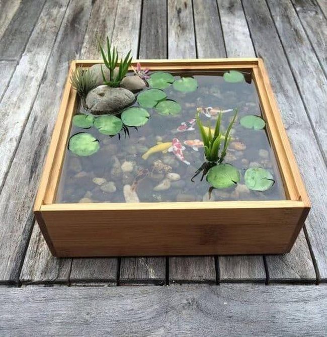 Geometric Wood Pond With Floating Lilies