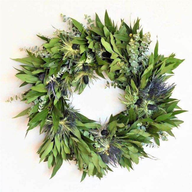 Lush Green Ferns With Pinecones