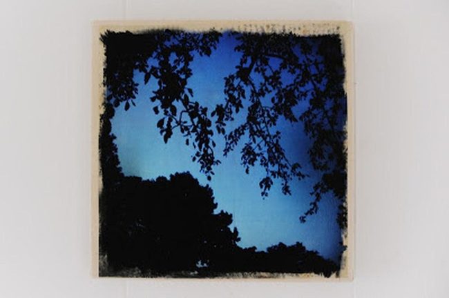 Dark Blue Silhouettes At Dusk