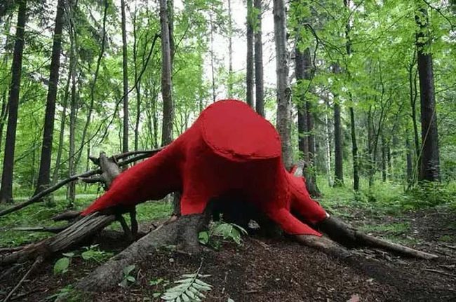 Painted Tree Stumps Stop Sprouting