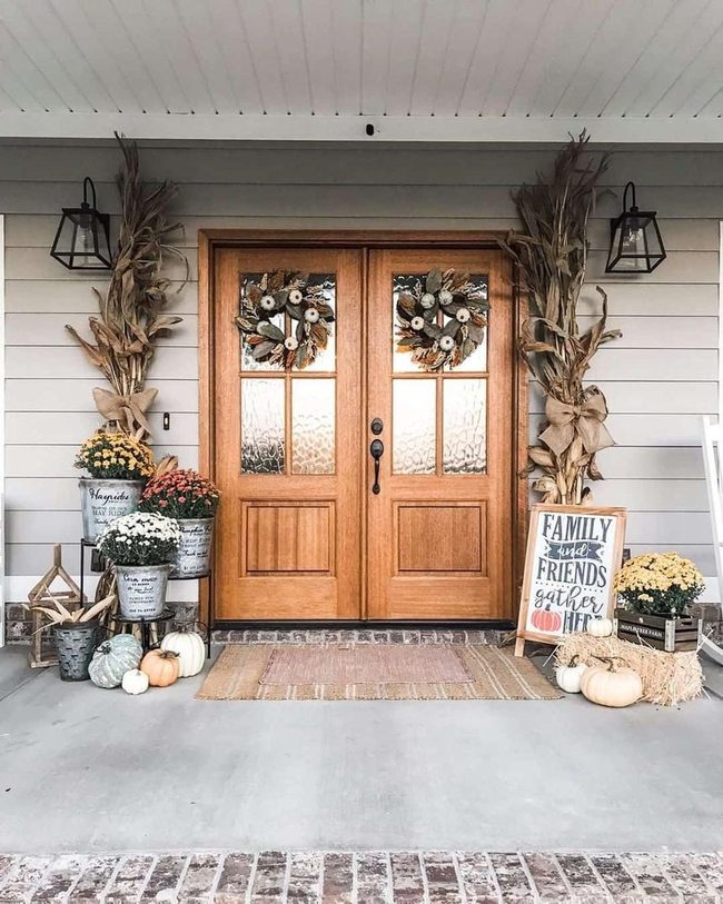Corn Stalks And Yellow Mums