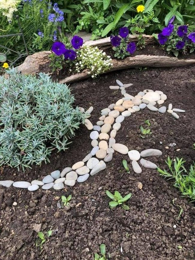 Pebble Insects Among Blooming Flowers