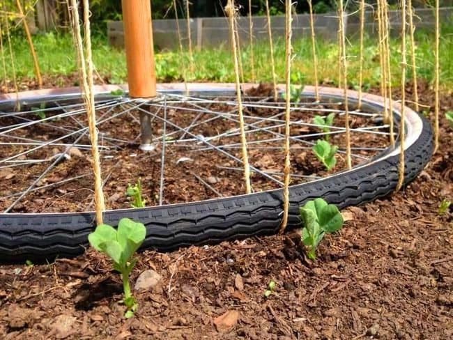 Painted Bicycle Wheel Garden Trellis