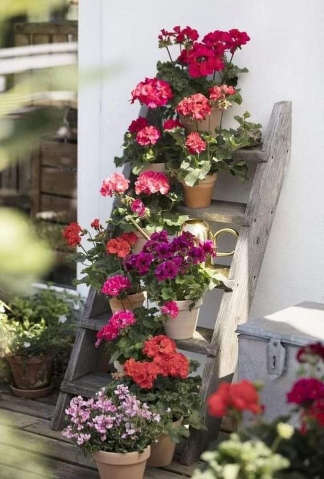 Colorful Pots On Weathered Wood