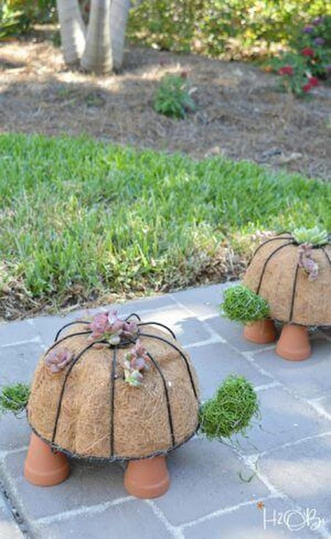 Terracotta Turtle Planters With Succulents