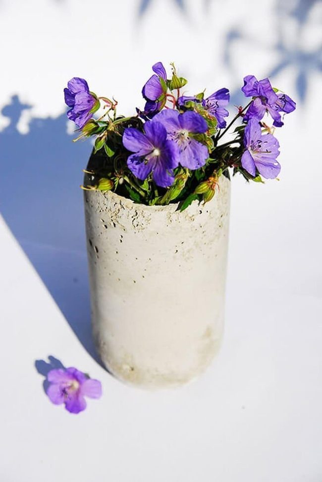 Diy Concrete Pots With Personality