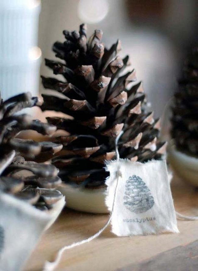 Brown Pine Cones Natural Display