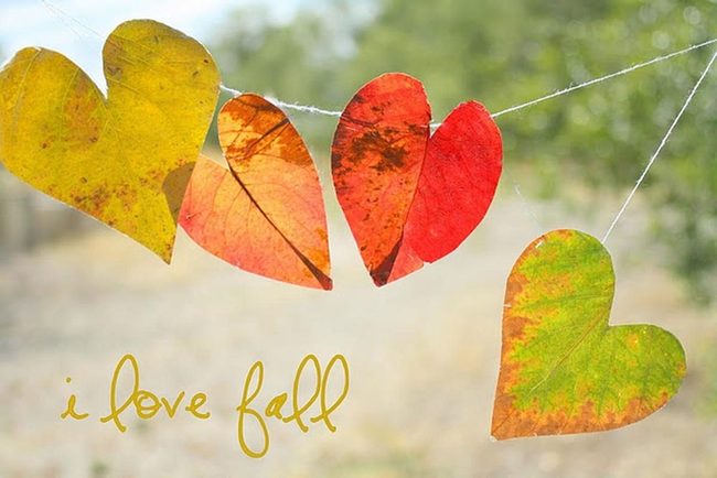 Sunlit Autumn Leaves Strung