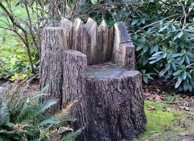 Carved Wood Stump Chair