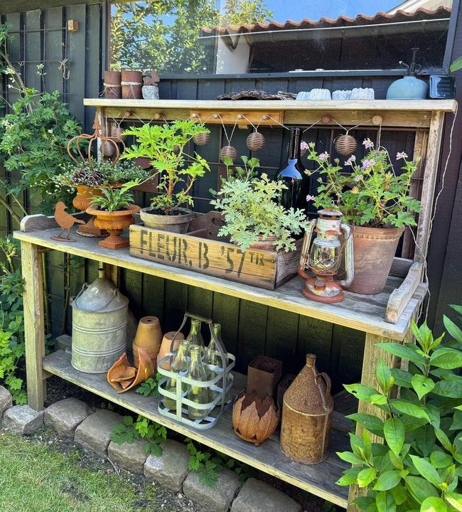 Natural Wood Shelves With Living Plants