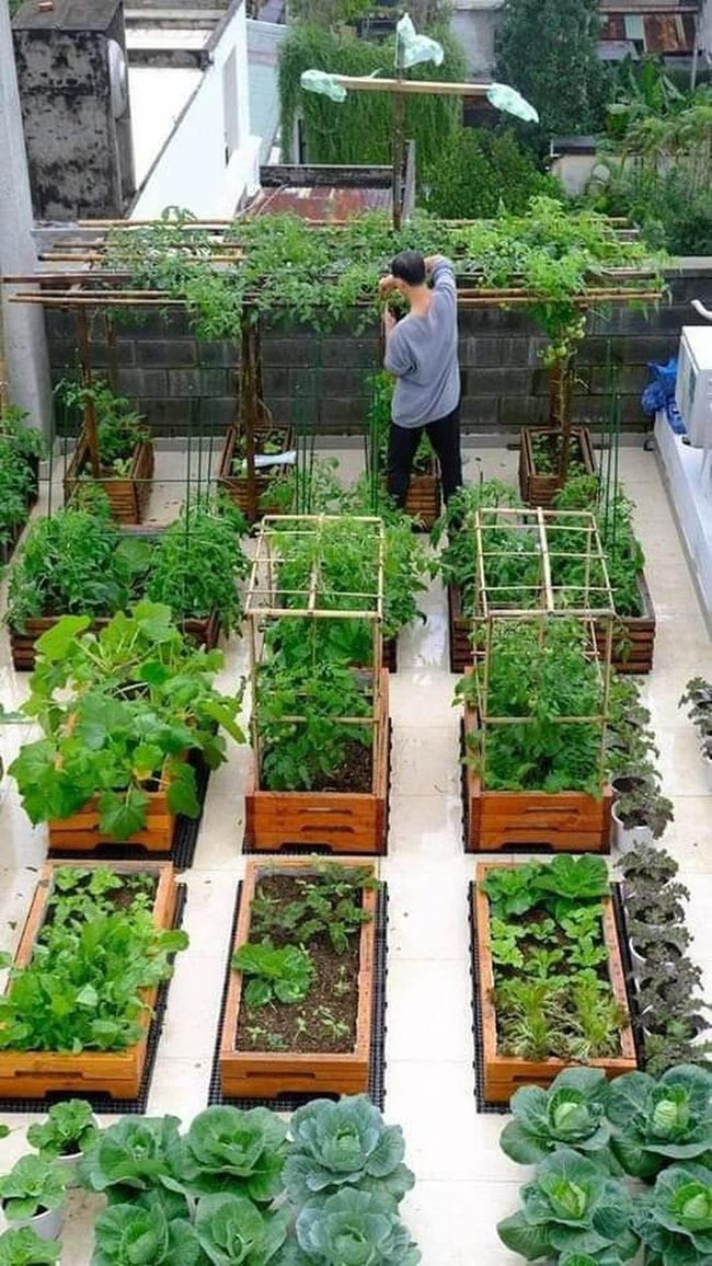 Wooden Raised Garden Beds