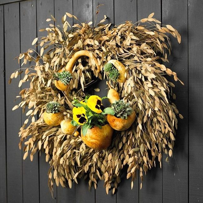 Yellow Blooms Through Dried Grass Circle